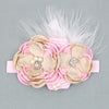 Feather Rhinestone Lace Headband